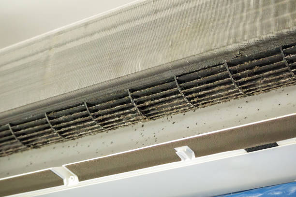 Best Professional Duct Cleaning Services  in North Kansas City, MO